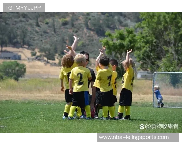 踢出精彩人生的足球成语启示与人生哲理探讨